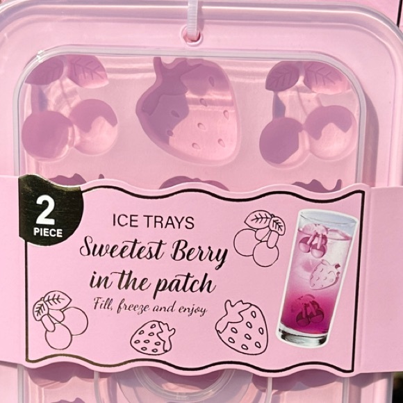 CWC Other - Sweetest Berry 2 pack Ice Tray and Mold Set - Pink Delight